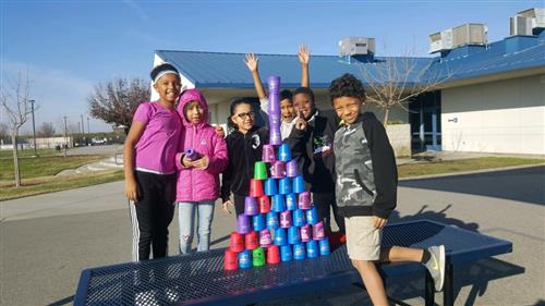 PE cups 